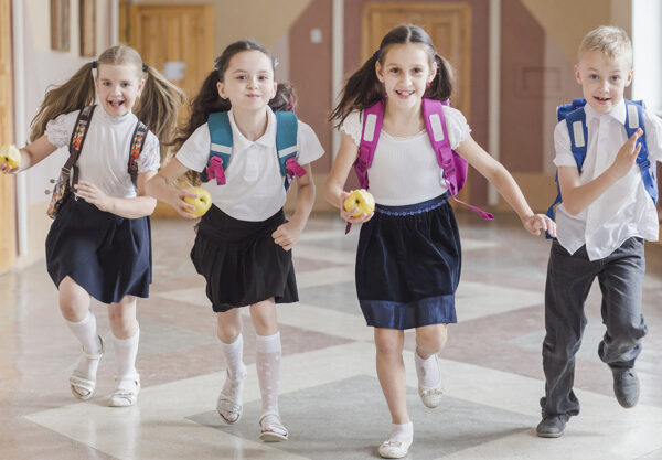 monitorear la seguridad en las escuelas por el bienestar institucional