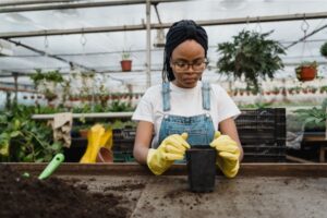 Control del clima en cultivos