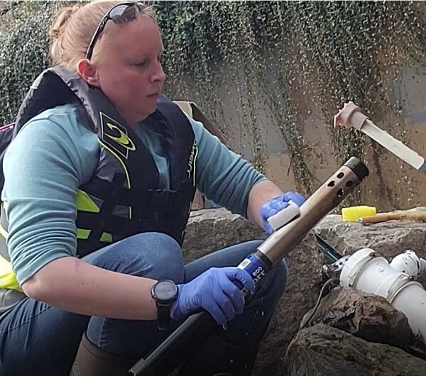 Monitoreo ambiental con sensores