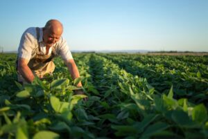 Abastecimiento de agua en la agricultura