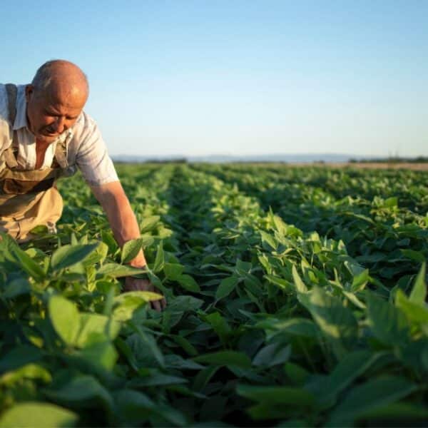Abastecimiento de agua en la agricultura