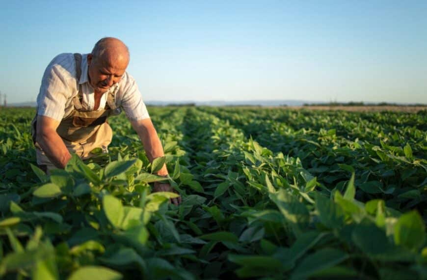 Abastecimiento de agua en la agricultura