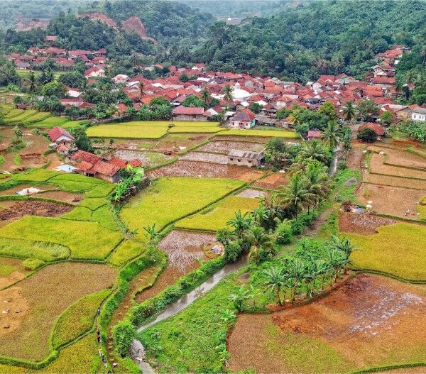 Monitoreo eficiente en zonas remotas