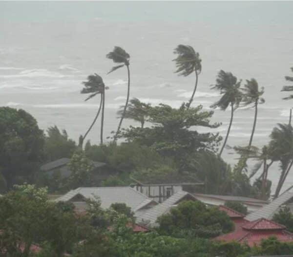 Preparate antes de que las ondas tropicales afecten tu entorno